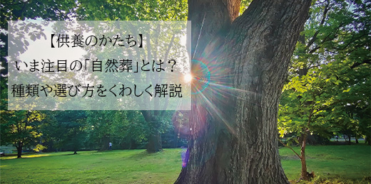 日本霊廟株式会社あいプラングループ画像イメージ